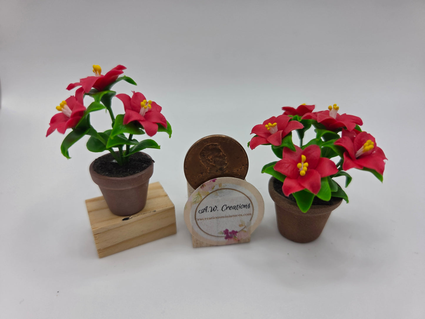 Potted Poinsettia