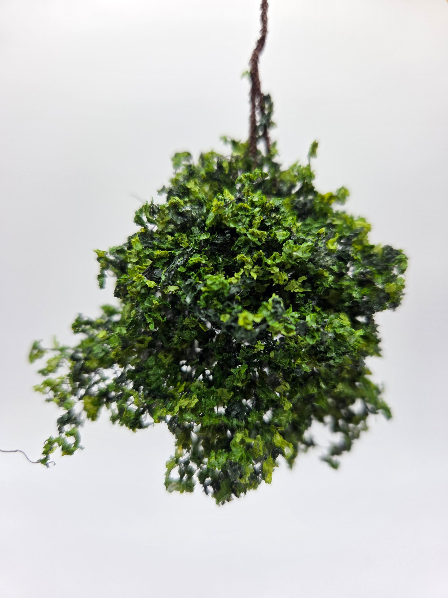 Small Hanging Plant - Green
