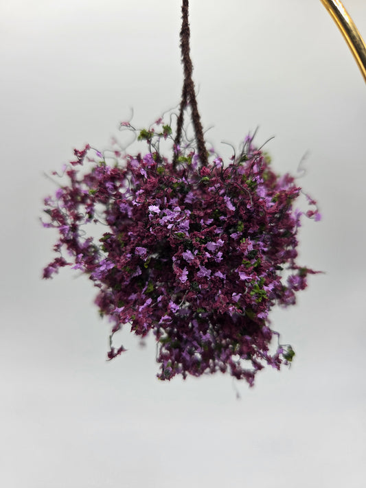 Small Hanging Plant - Burgundy Mauve