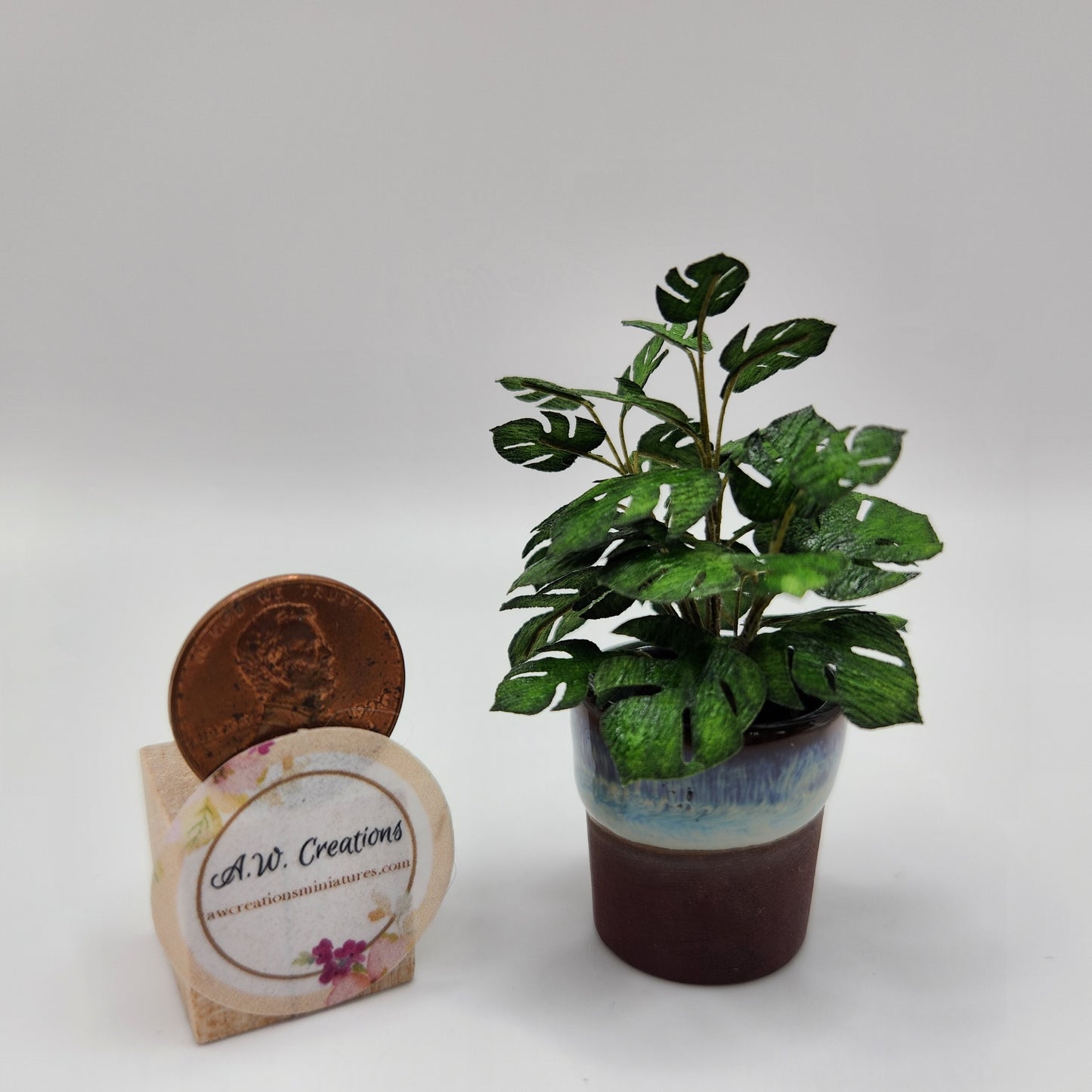 Split Leaf Philodendron in Brown & Blue Pot