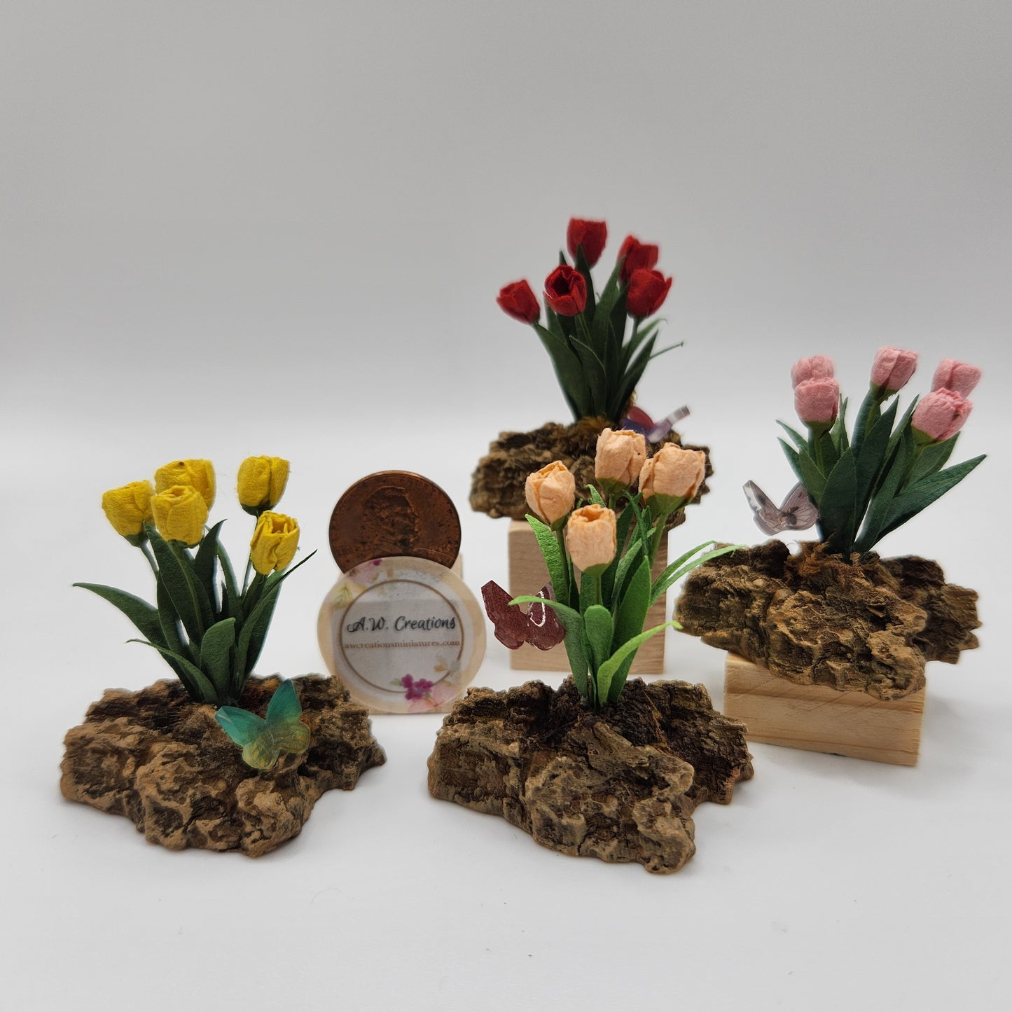 Tulip Plant on a Rock