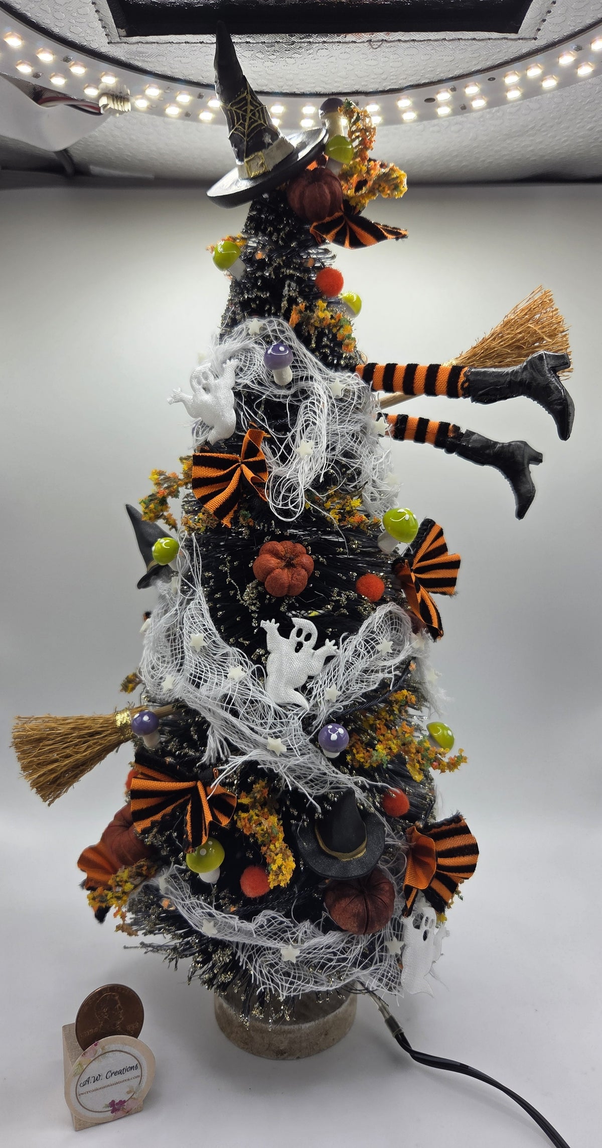 Witch Tree