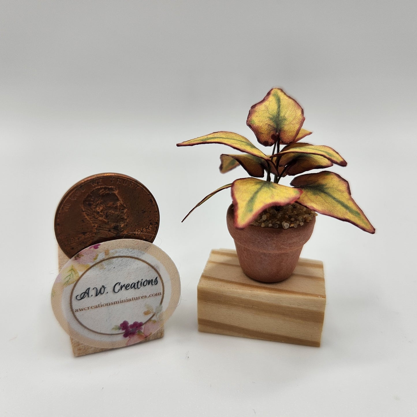 Coleus - Yellow