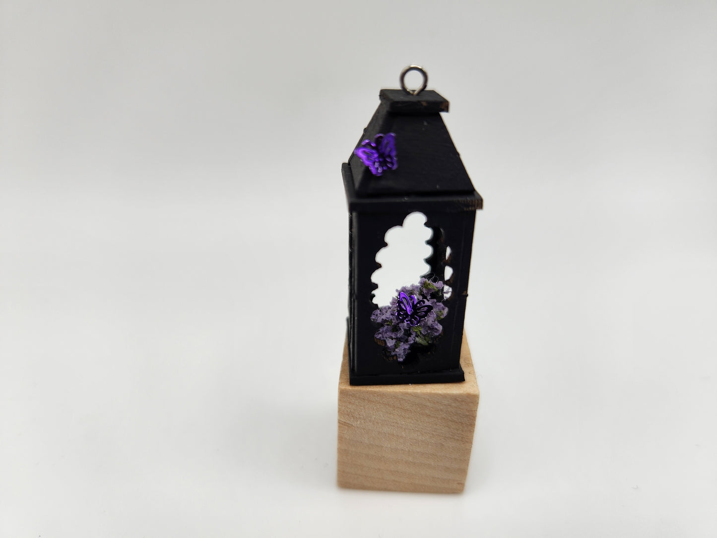 Black Lantern with Butterfly