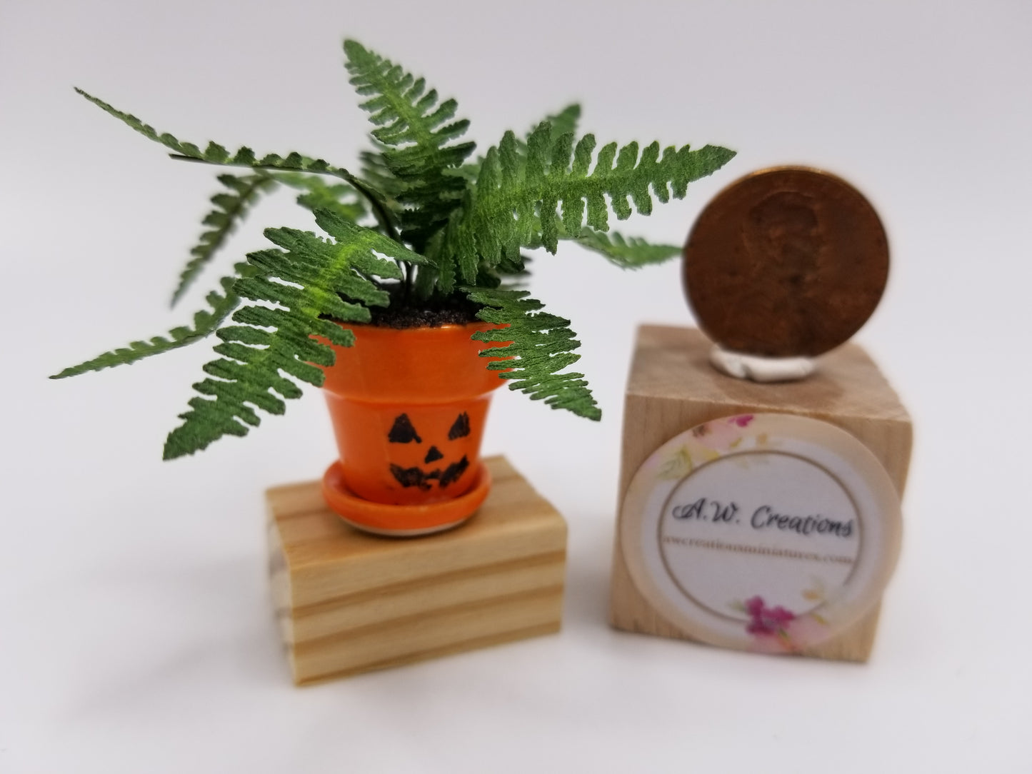 Ruffle fern in fancy halloween pot