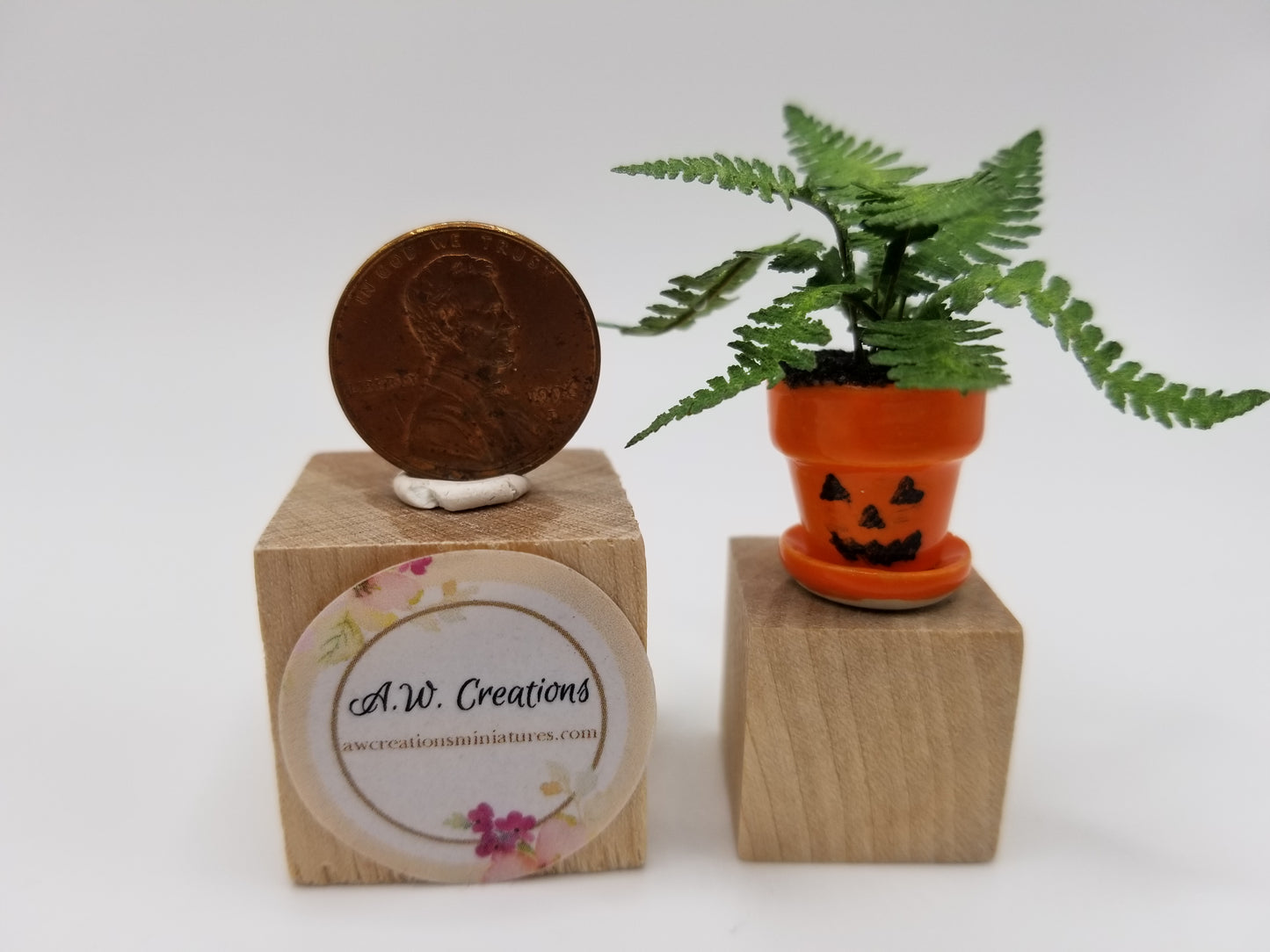 Ruffle fern in fancy halloween pot