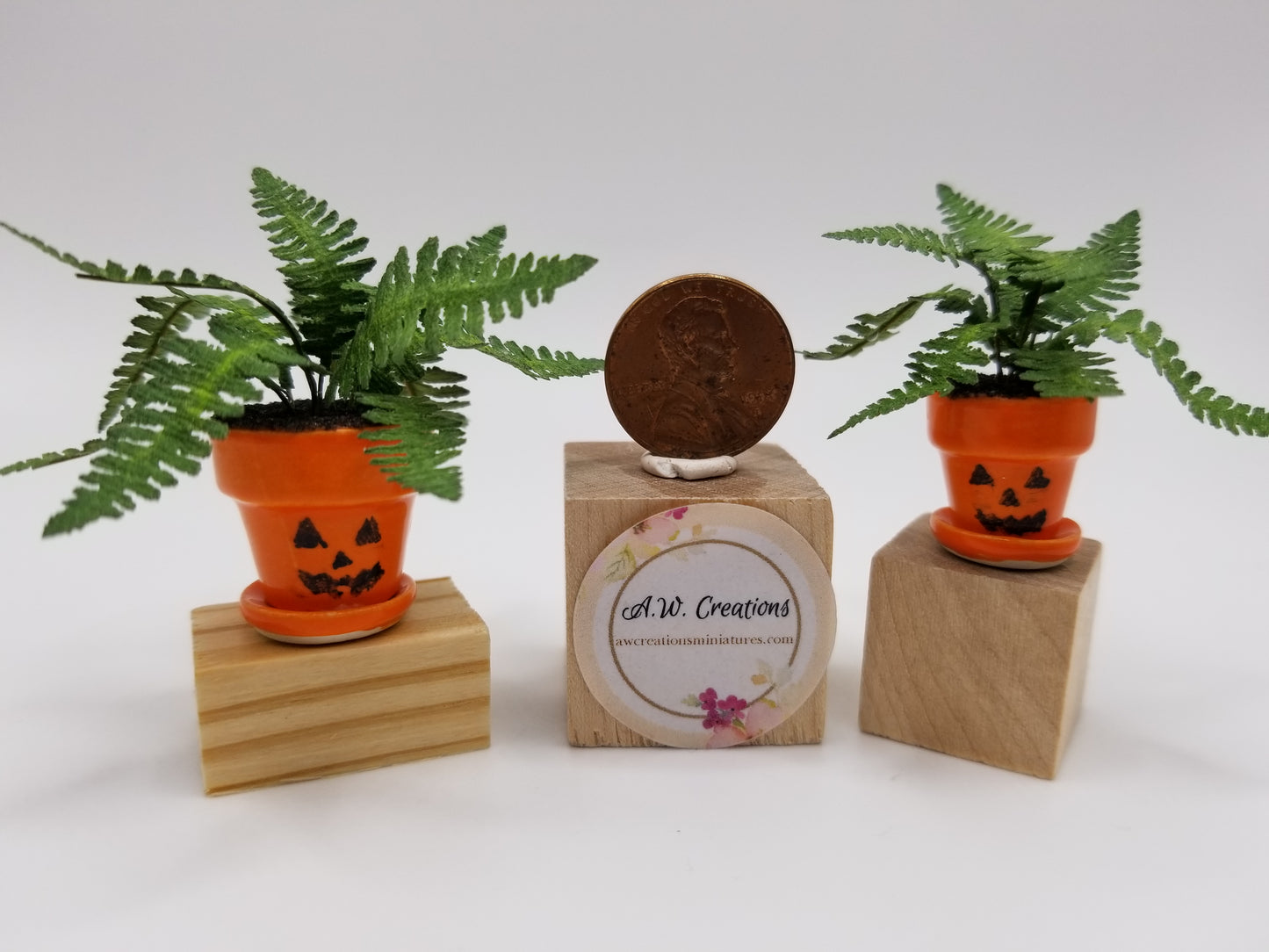 Ruffle fern in fancy halloween pot