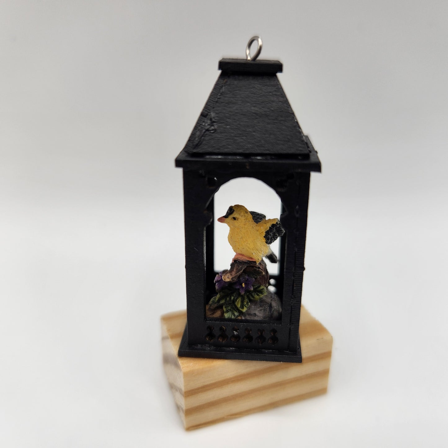 Black Lantern with Bird