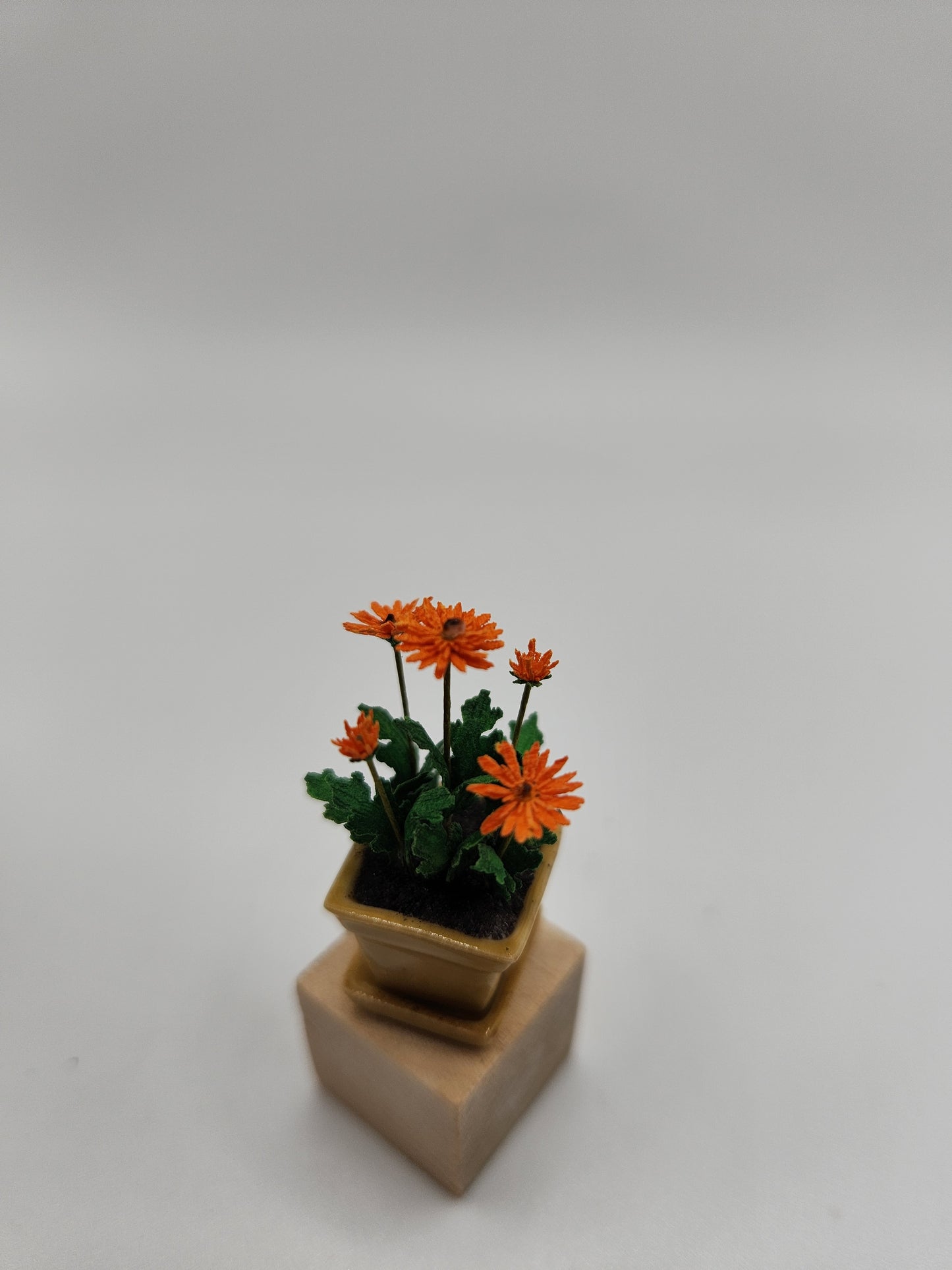 Gerbera Daisy in Ceramic Pot