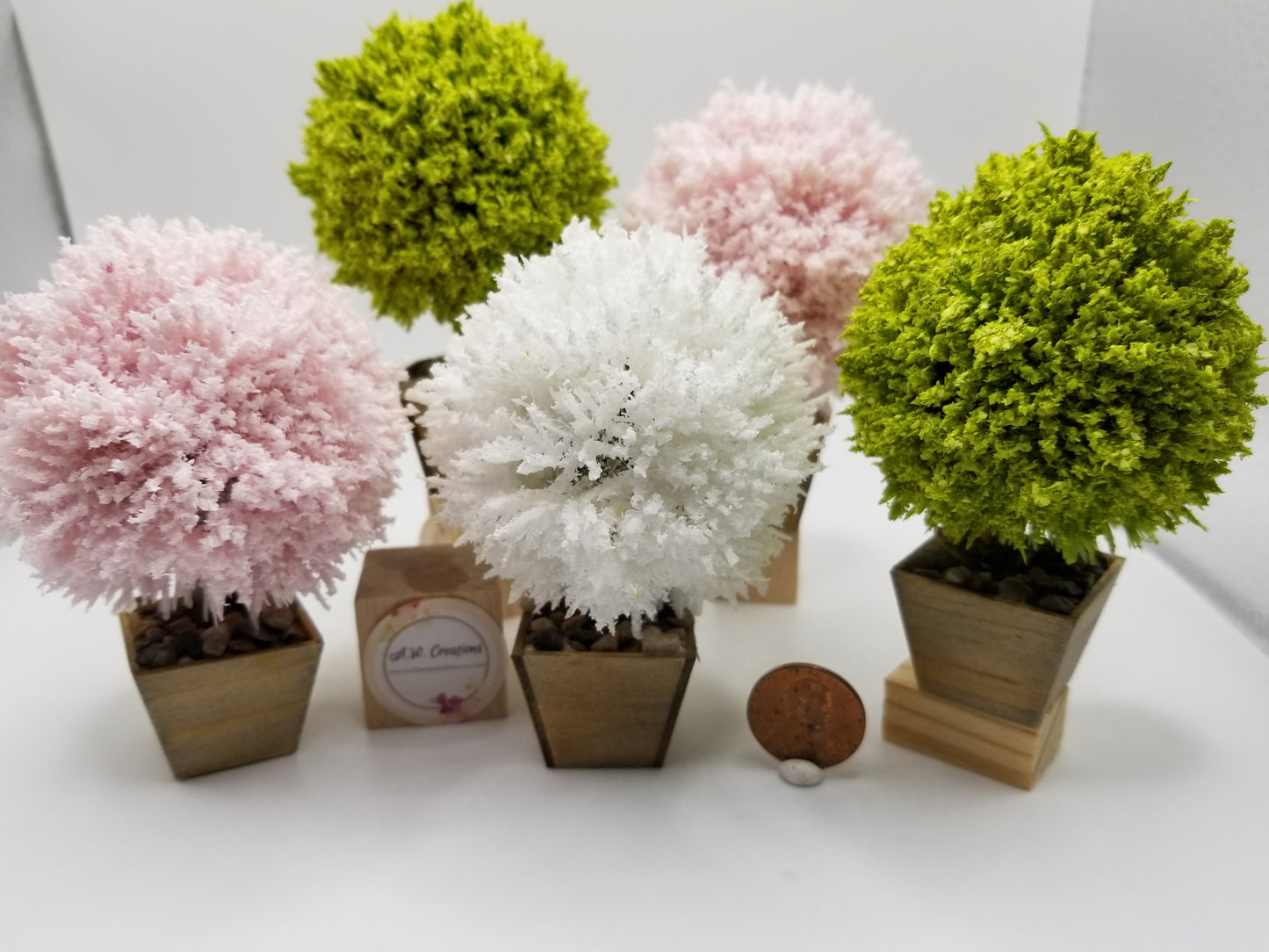Potted bushes