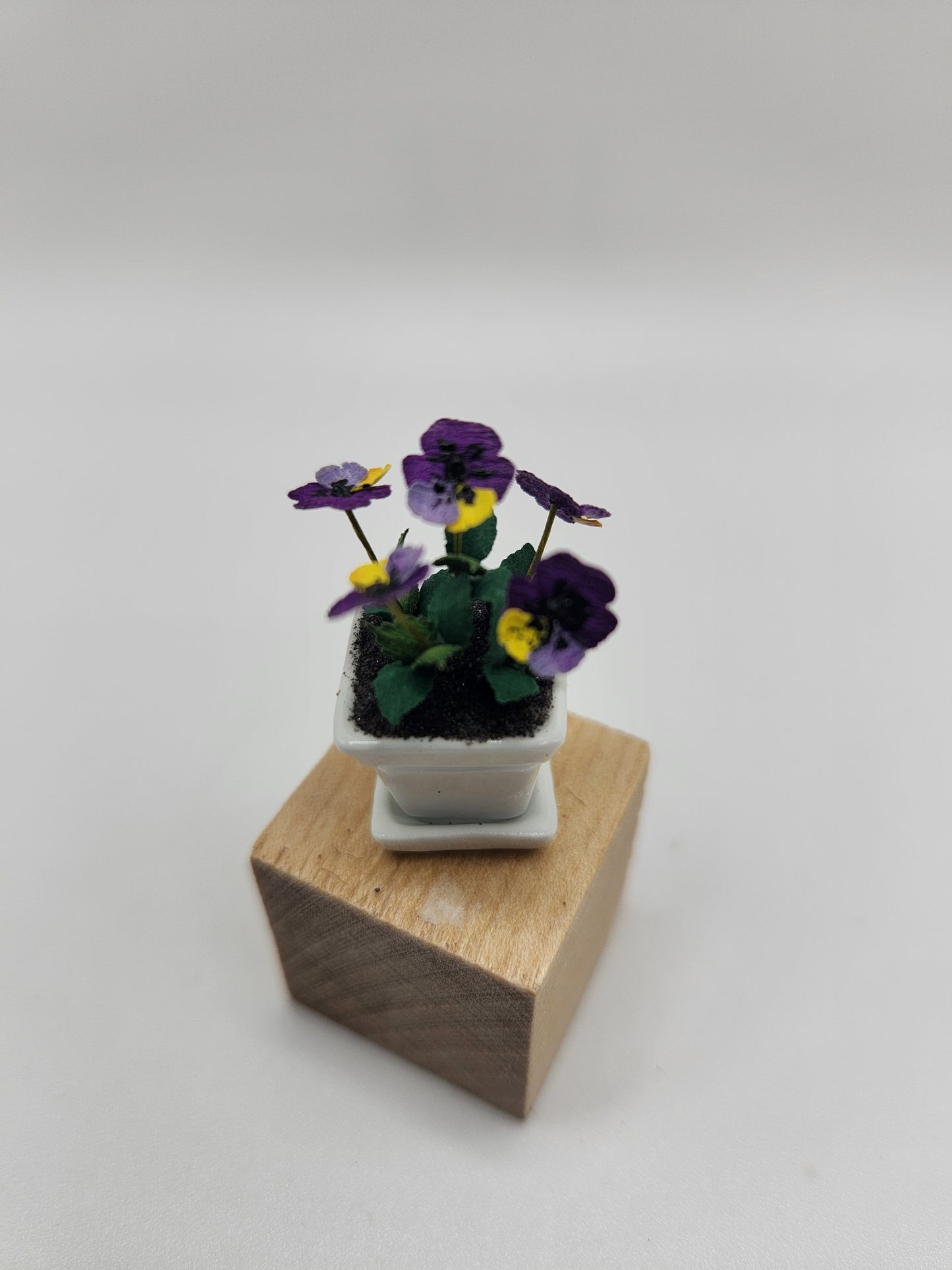 Potted Pansies in Ceramic pot