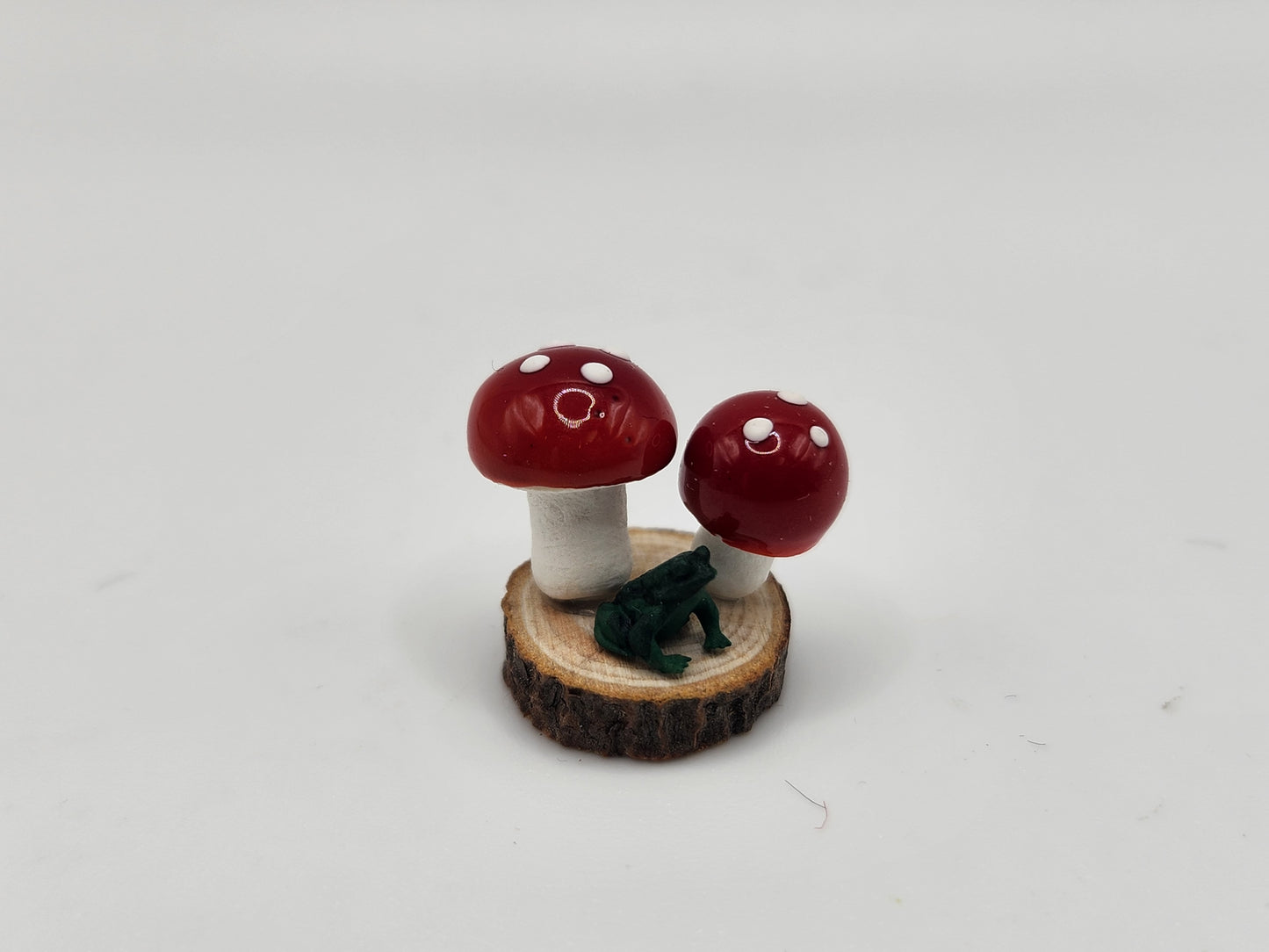 Mushrooms on Sliced Wood Disc