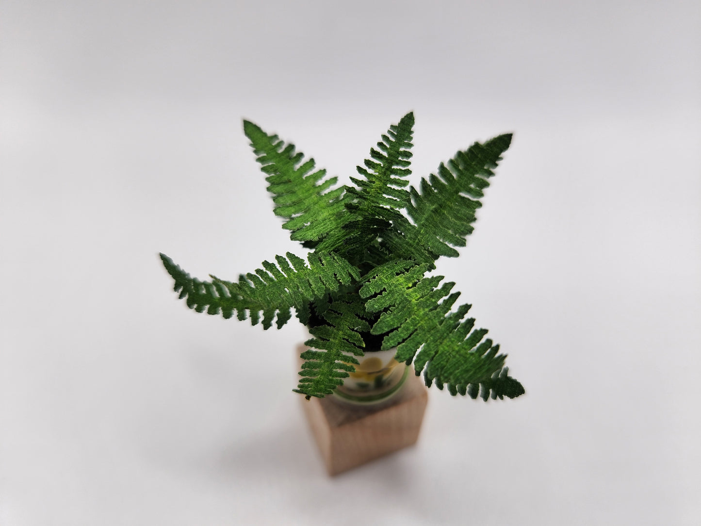 Ruffle fern in fany pot - yellow sunflower