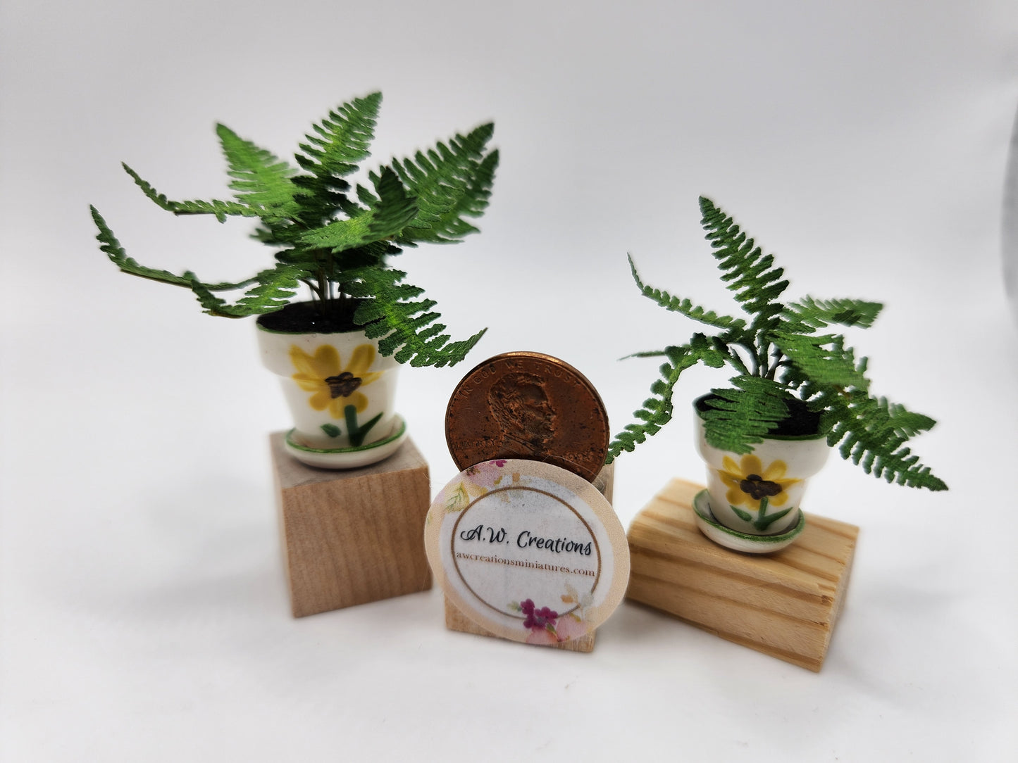 Ruffle fern in fany pot - yellow sunflower