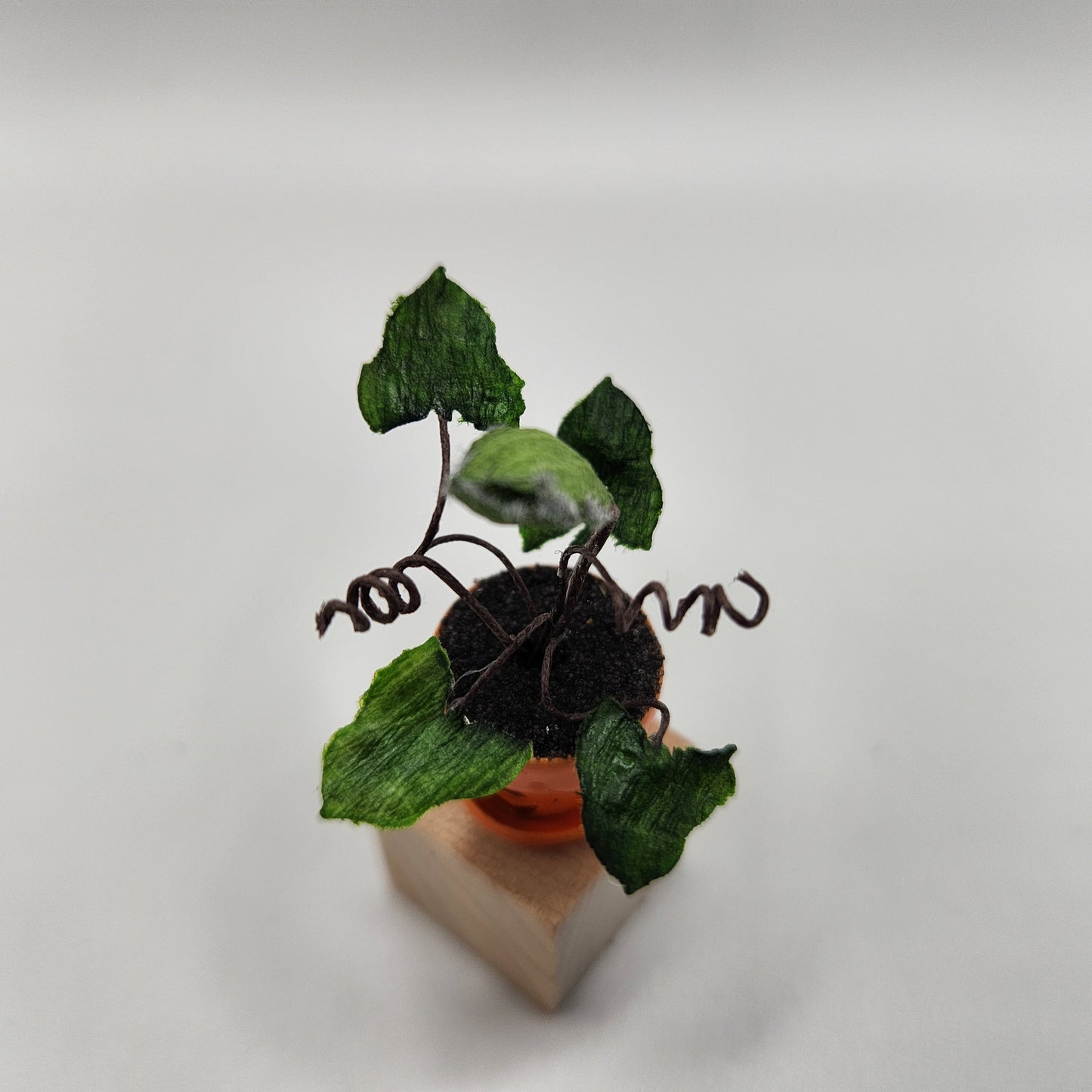 Man-eating Plant