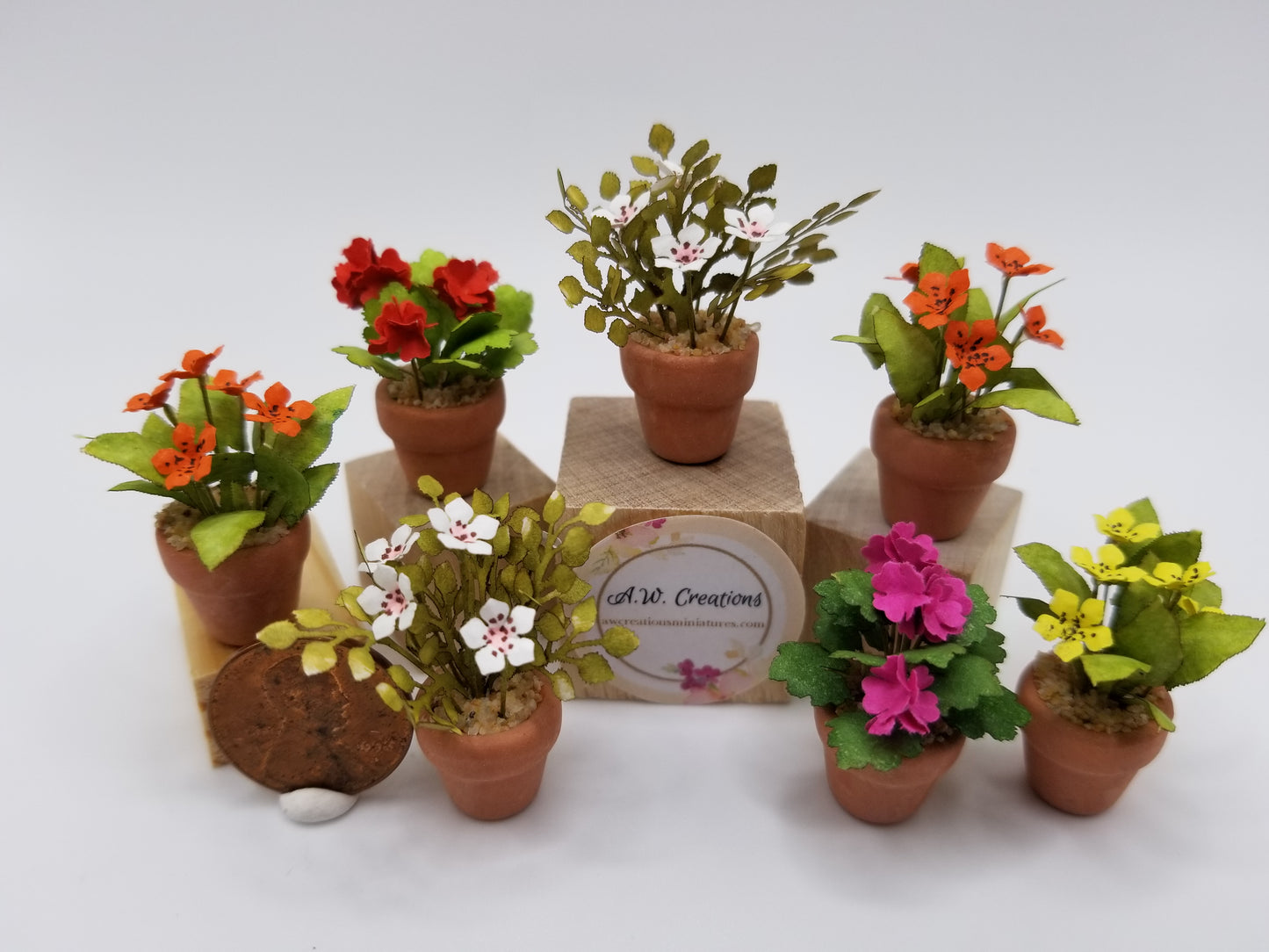 Flowering plant - small terra cotta
