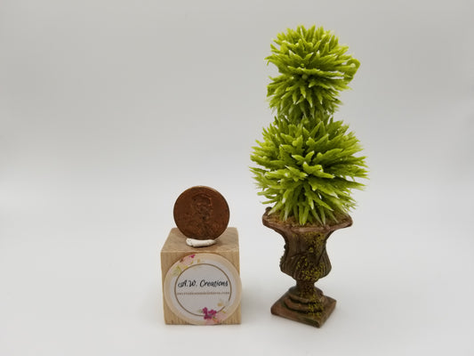 Topiary in fancy urn