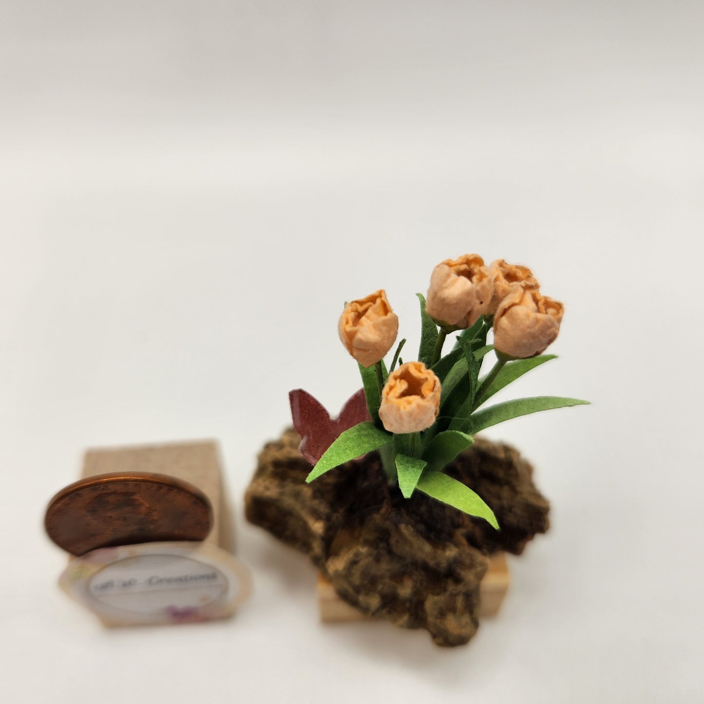 Tulip Plant on a Rock