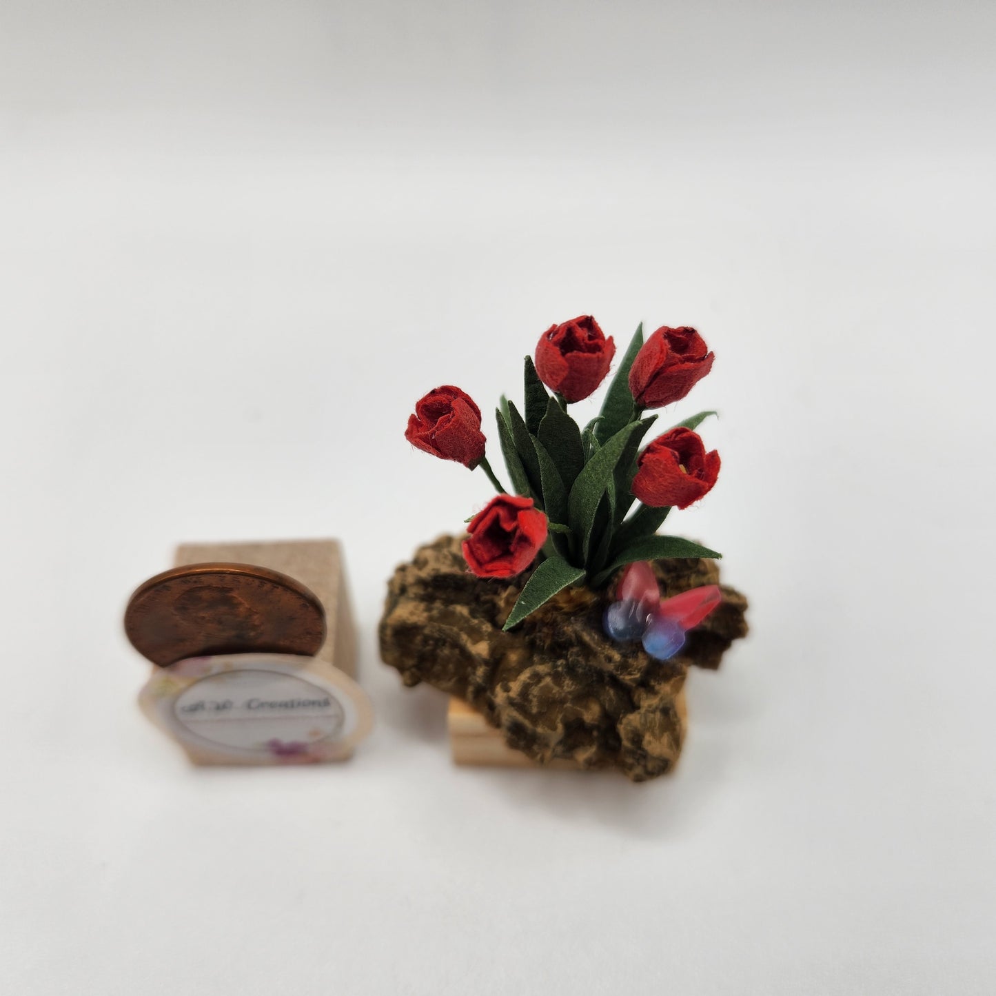 Tulip Plant on a Rock
