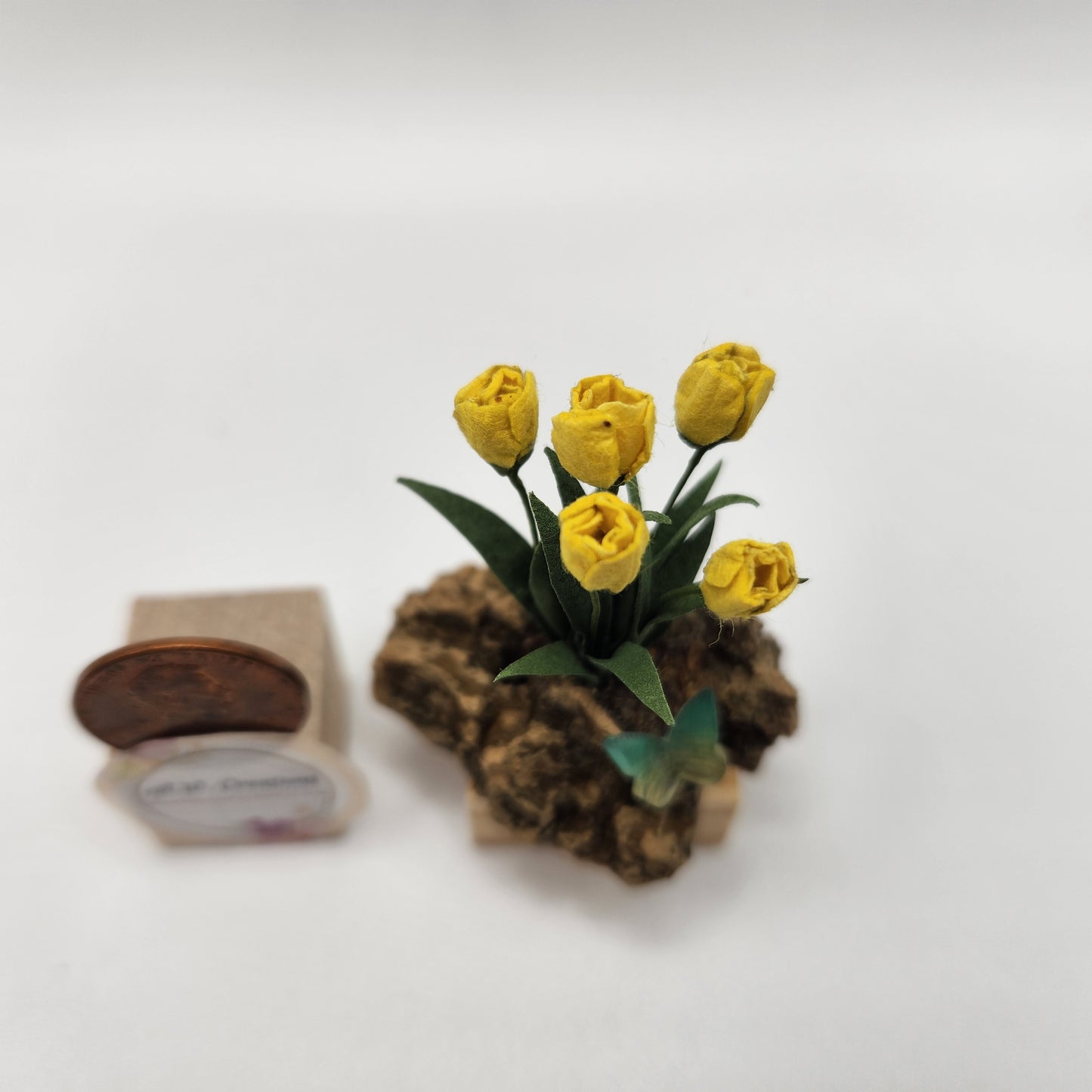 Tulip Plant on a Rock