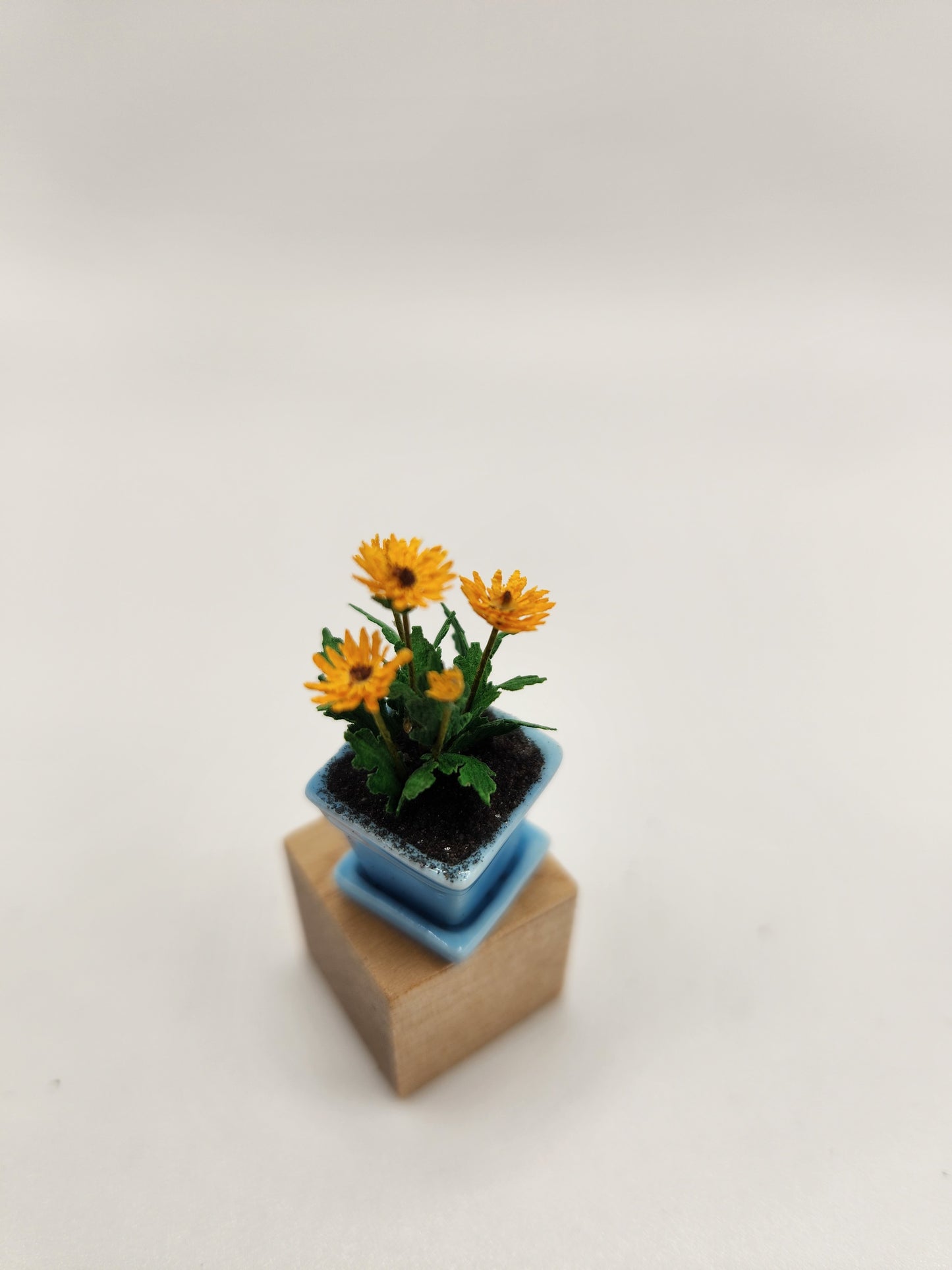 Gerbera Daisy in Ceramic Pot