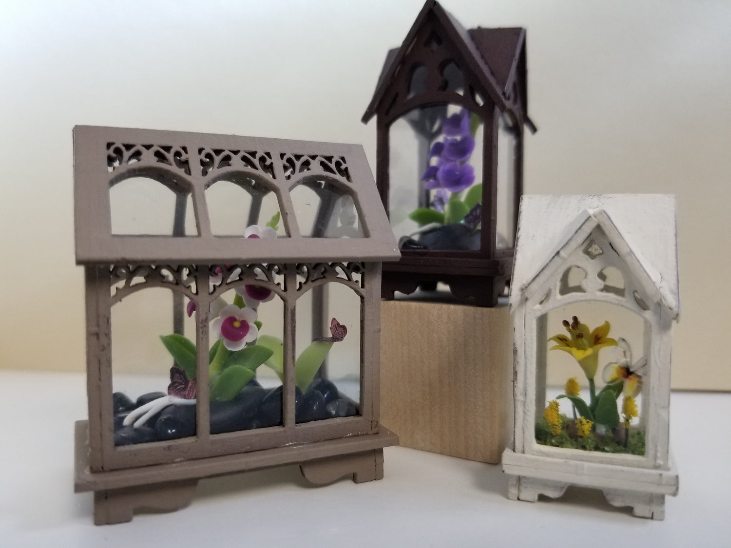 Terrariums