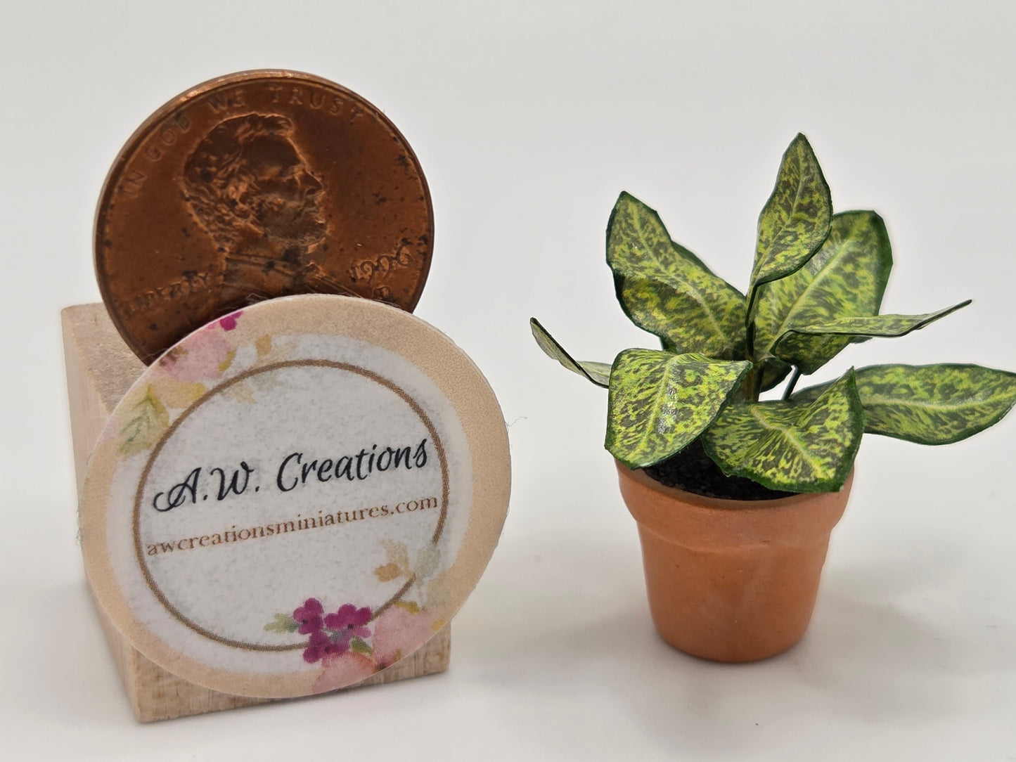 Plant 15mm Pot - Gold Dust Croton