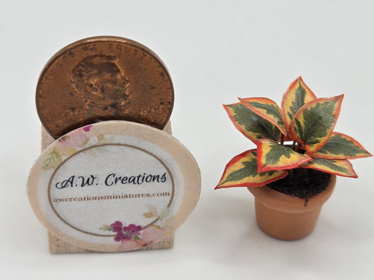 Small Plant 15mm Pot - Yellow, Green & Red Leaf