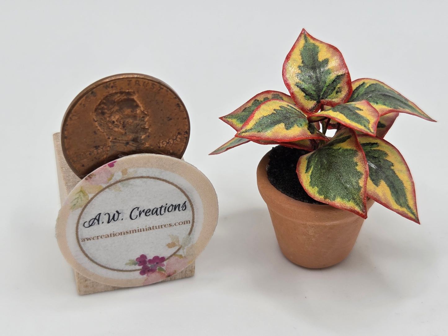 Plant 3/4" Pot - Yellow, Green & Red Leaf Plant