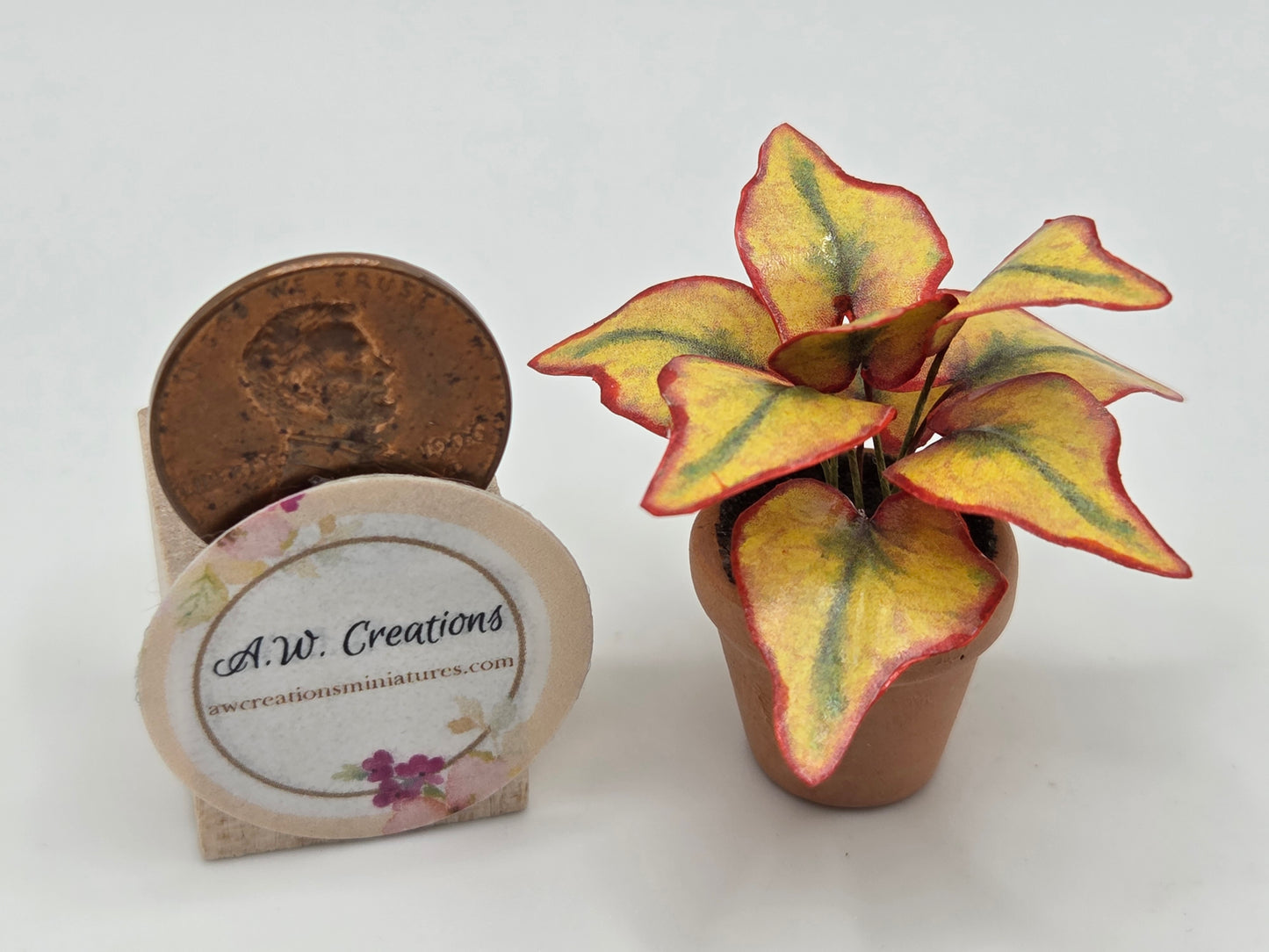 Plant 3/4" Pot - Yellow Coleus