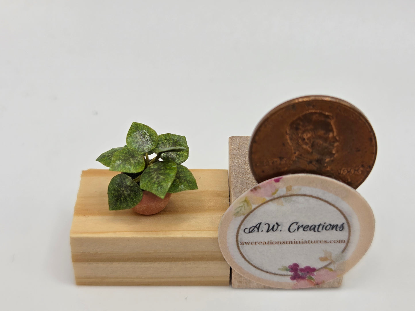 Plant 5mm Pot - Begonia Leaf