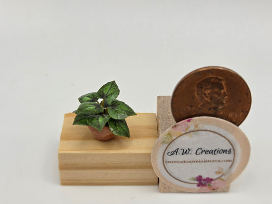Plant 5mm Pot - Green Leaf