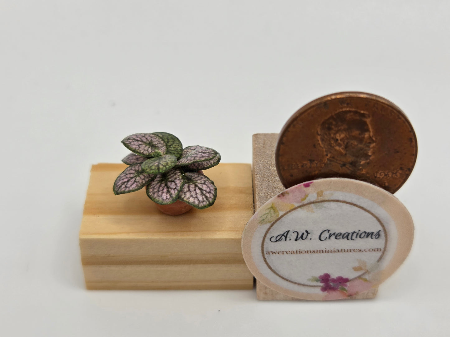 Plant 5mm Pot - Pink Splash