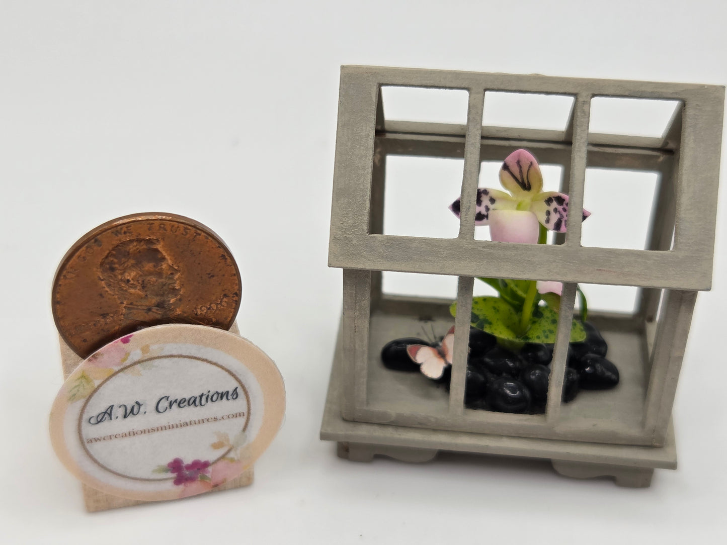 Terrarium - Taupe Pink Lady Slipper Orchid