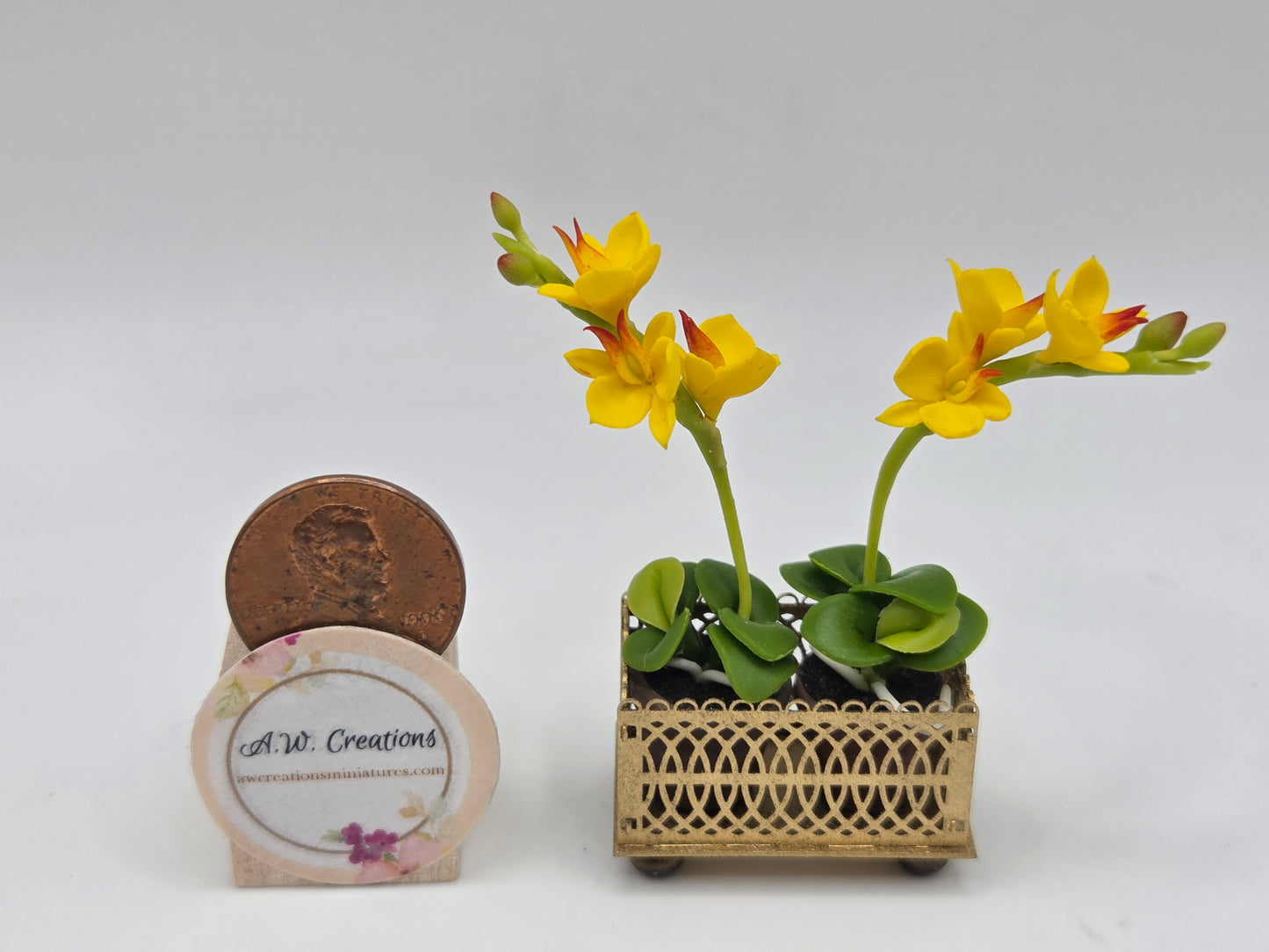 Yellow Orchid Planter