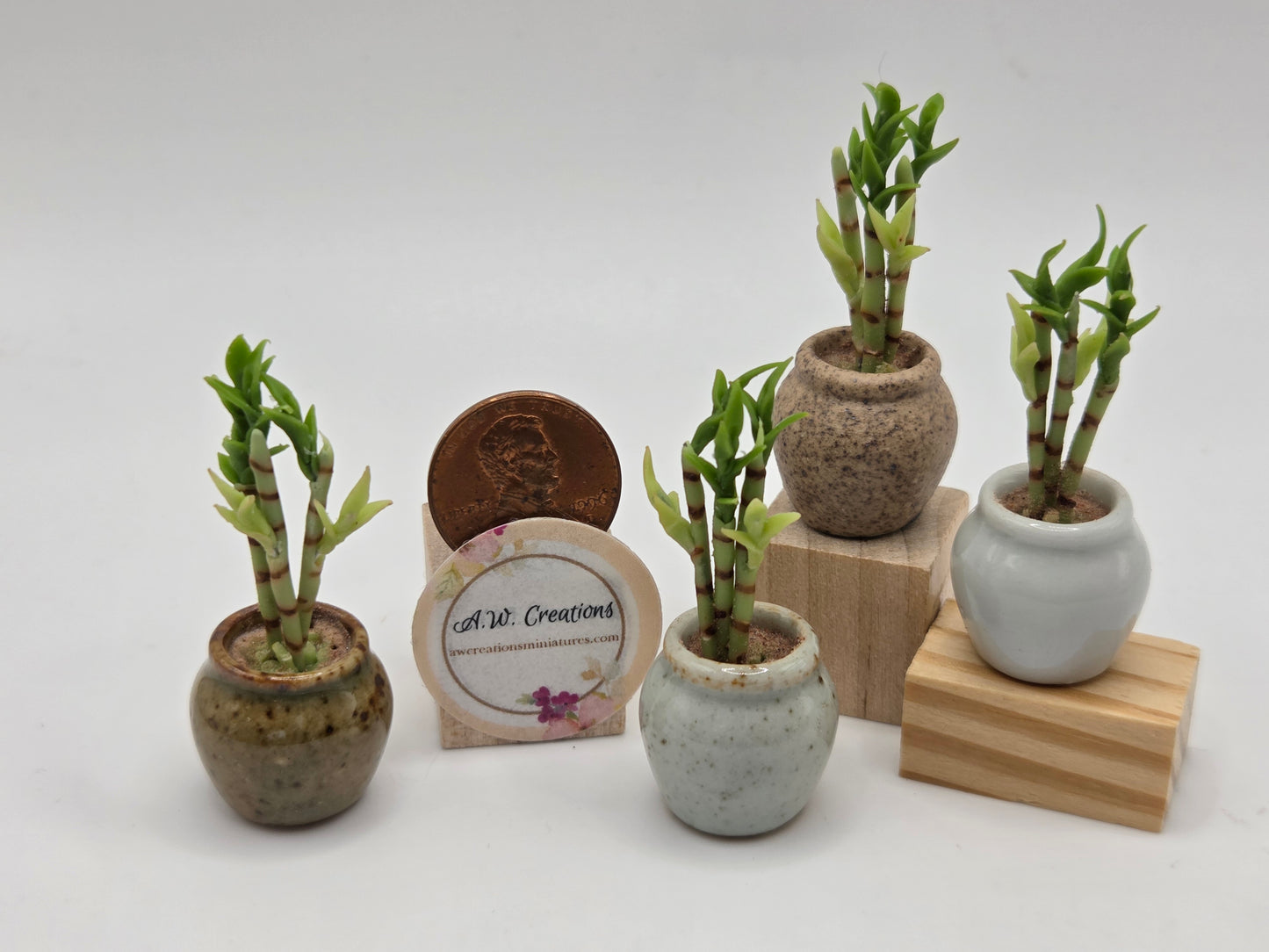 Bamboo Planter