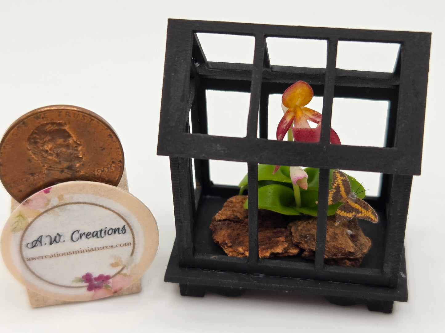 Terrarium - Black with Maroon Lady Slipper Orchid