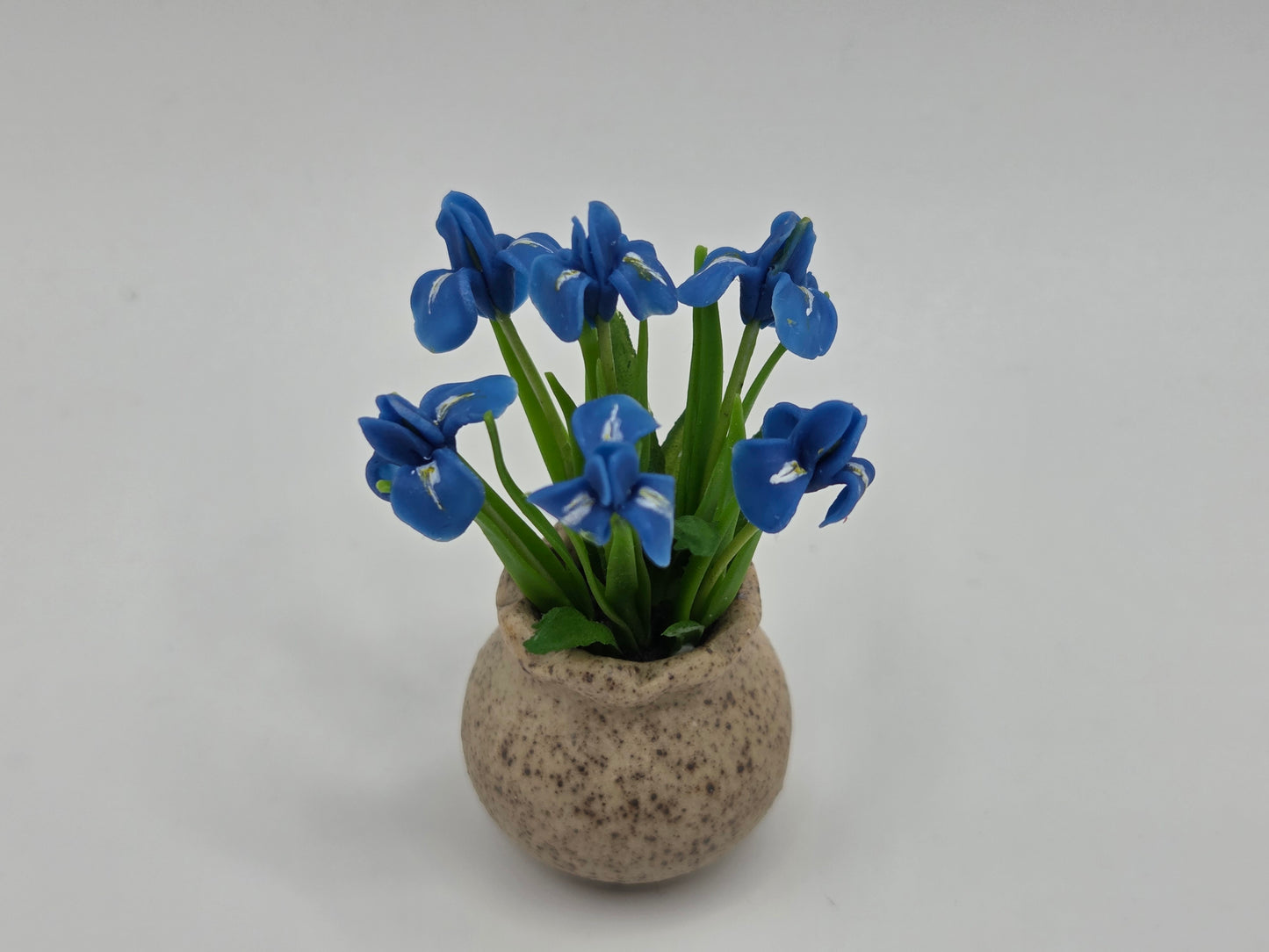 Iris Planter