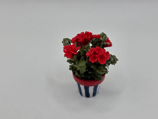 Patriotic Potted Geranium
