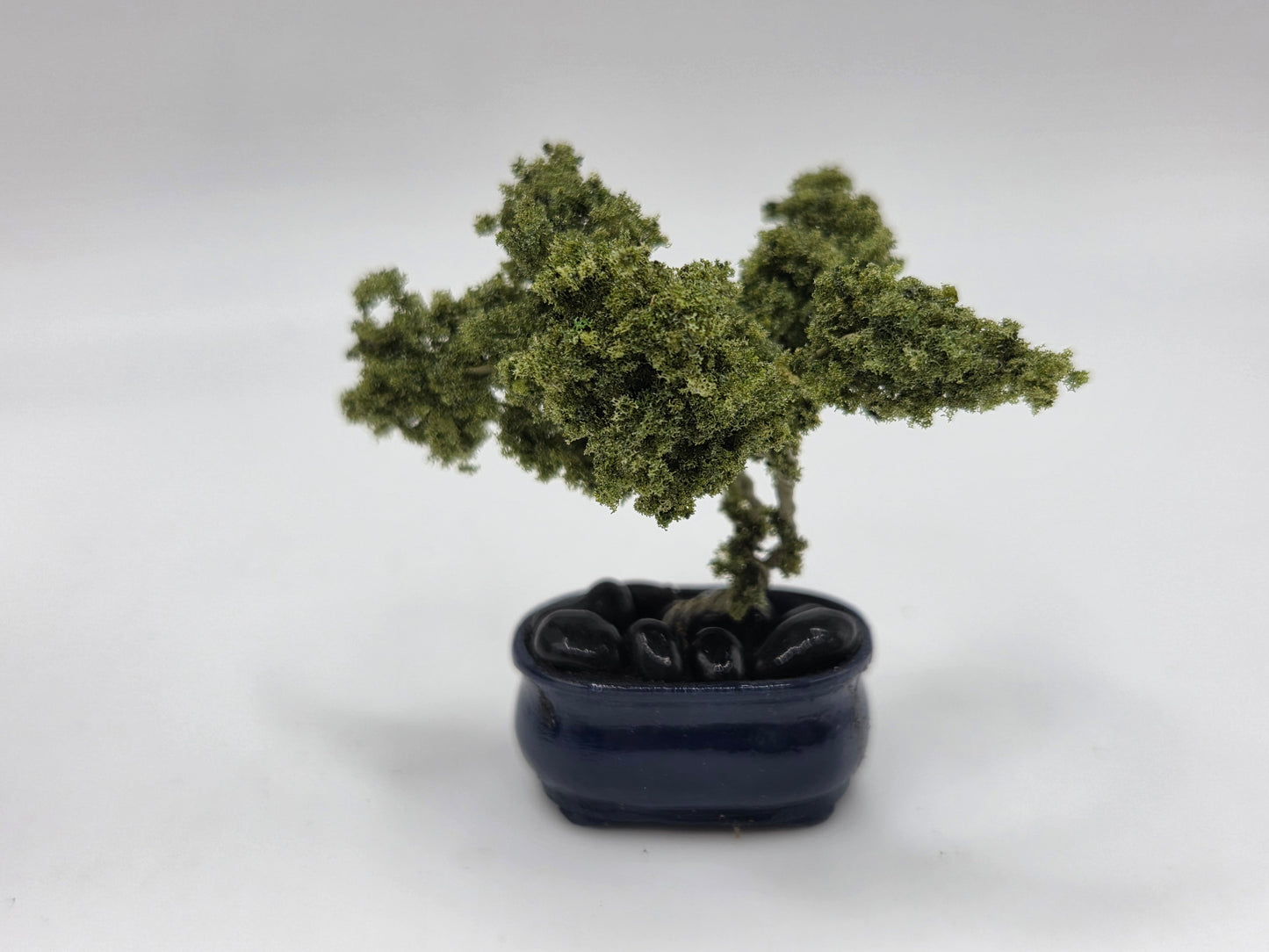 Bonsai Tree