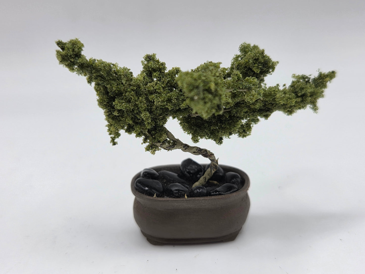 Bonsai Tree