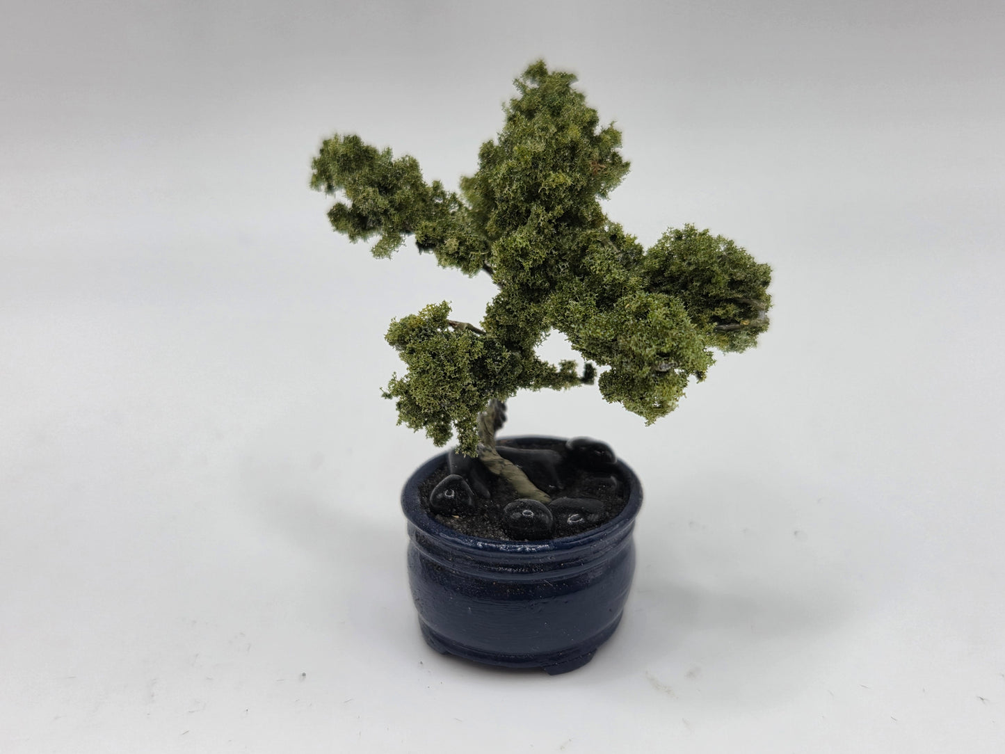 Bonsai Tree