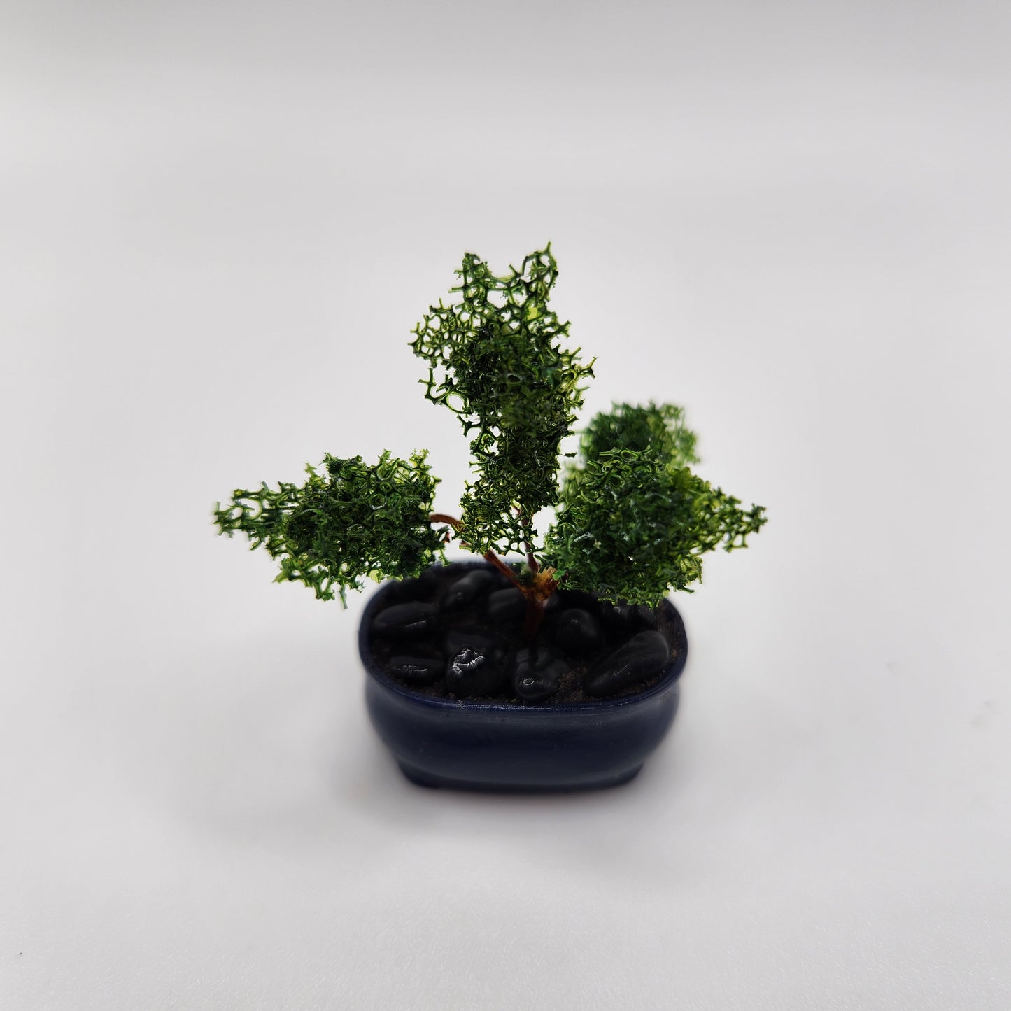 Bonsai Tree - Blue