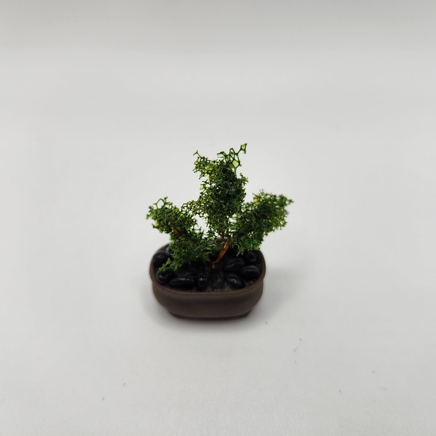 Bonsai Tree - Brown