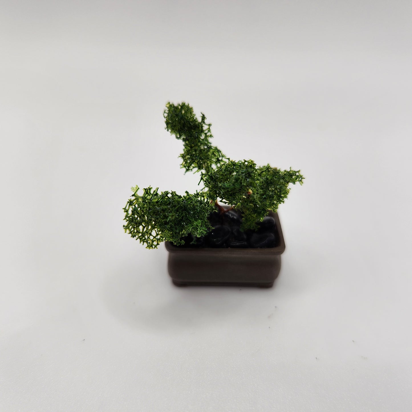 Bonsai Tree - Brown