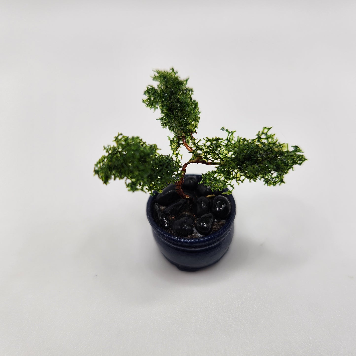 Bonsai Tree - Blue