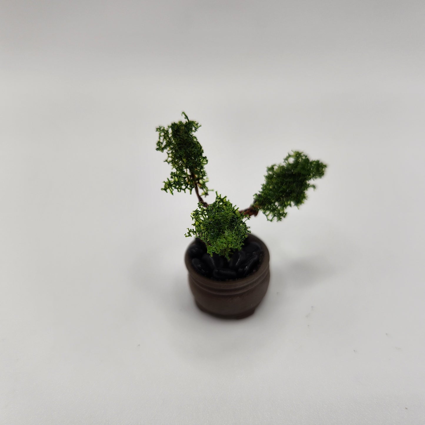 Bonsai Tree - Brown