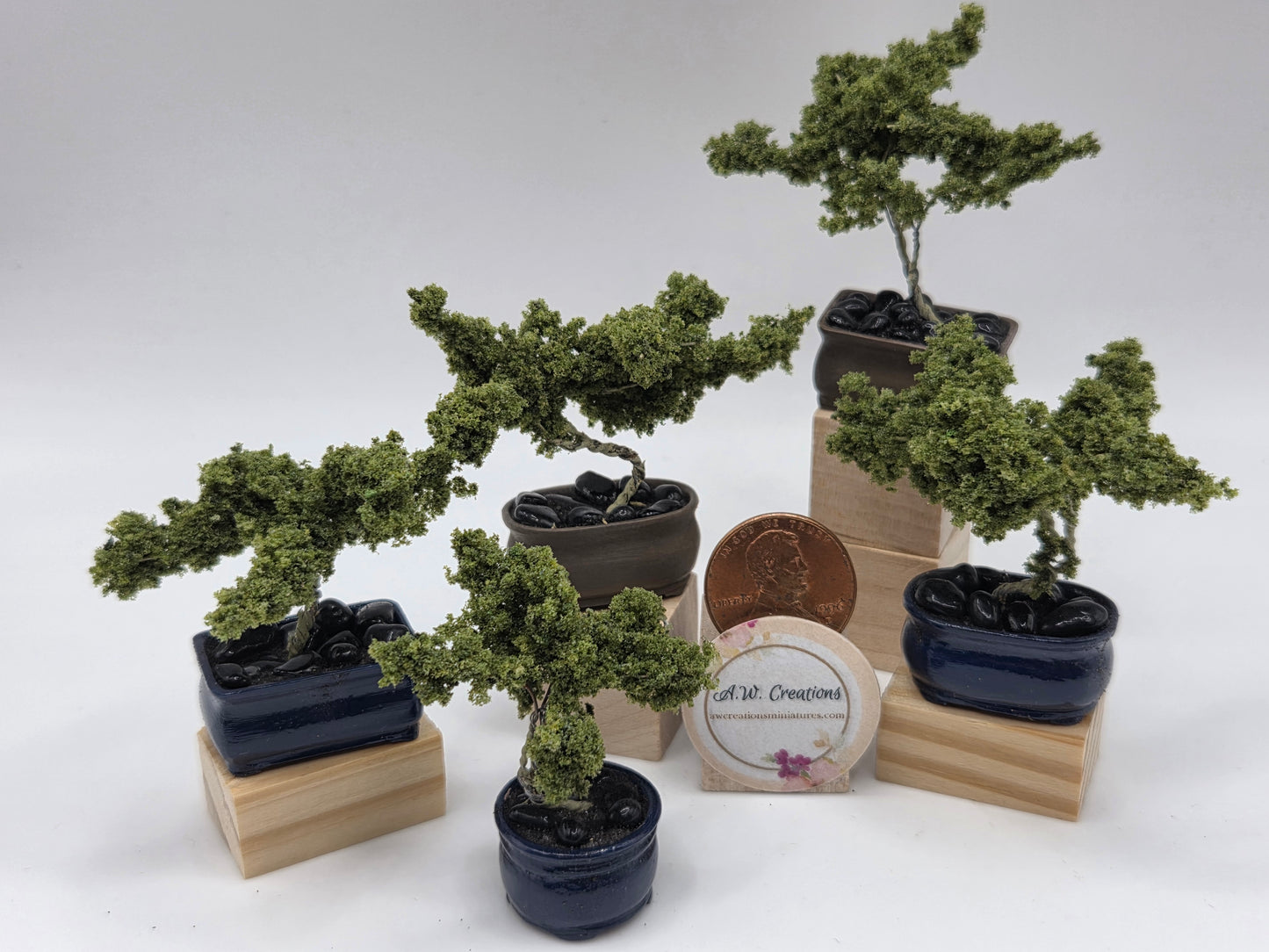 Bonsai Tree