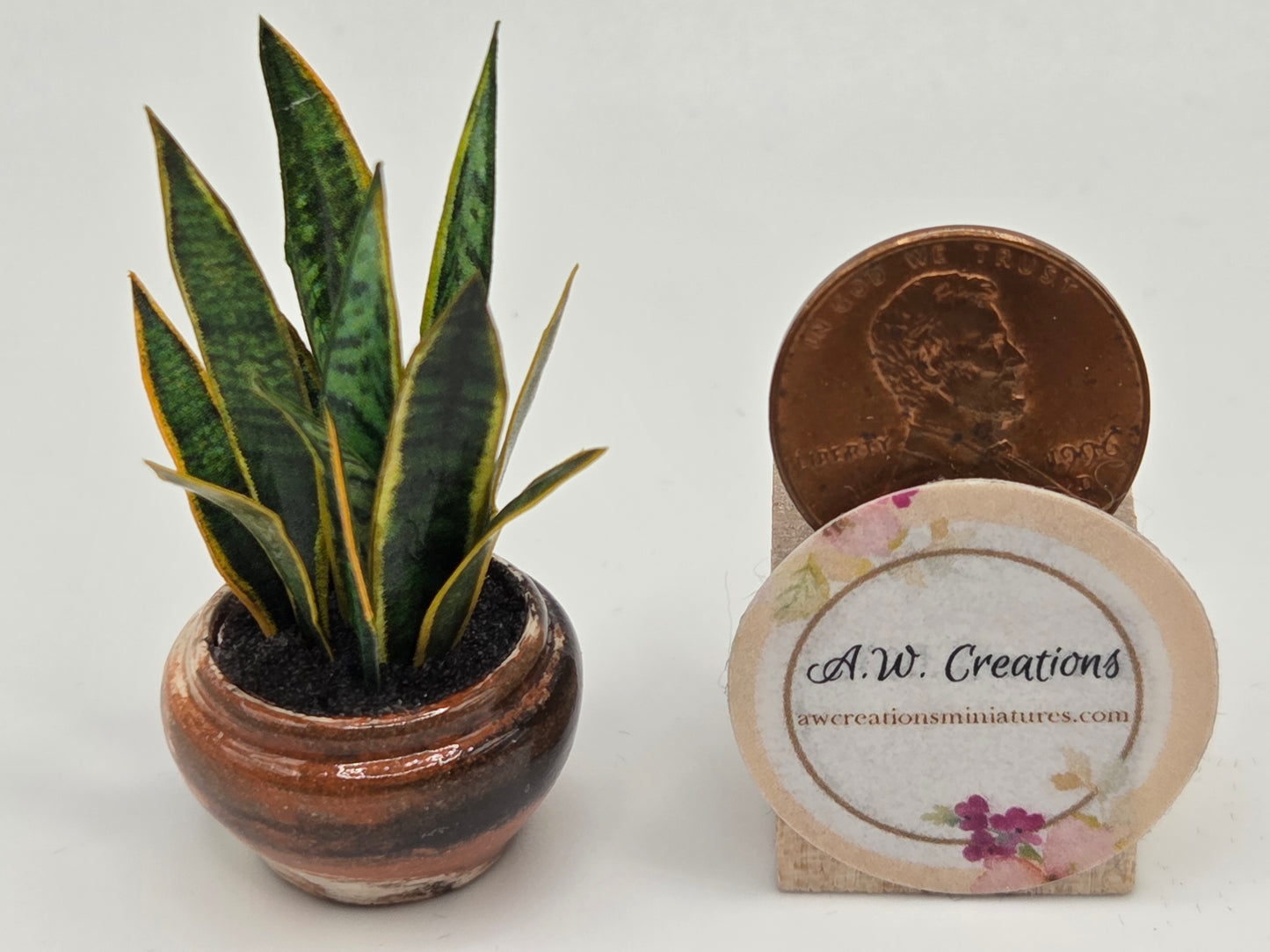 Mother-in-law Tongue Planter