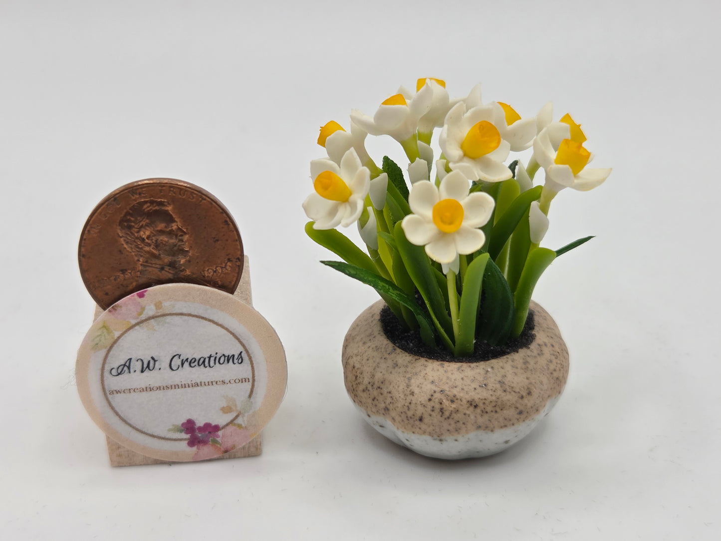Daffodils - Ceramic Pot